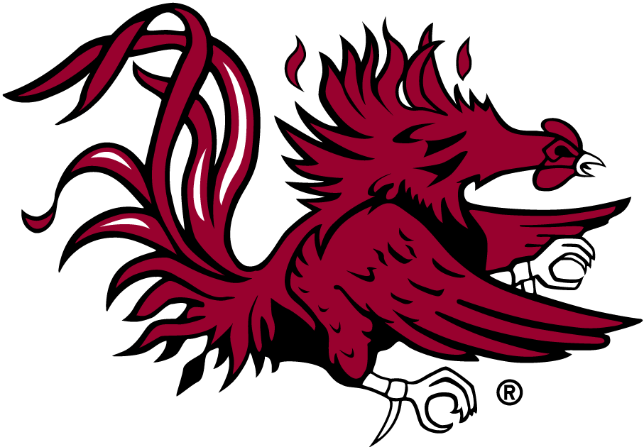 South Carolina Gamecocks 1983-Pres Secondary Logo diy DTF decal sticker